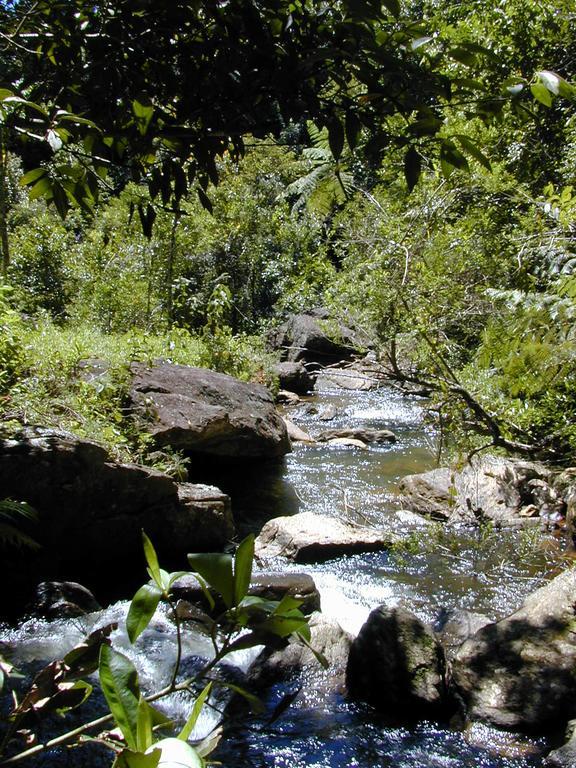 Apartamento Ferias Fazenda Usina 2 Bocaina de Minas Esterno foto