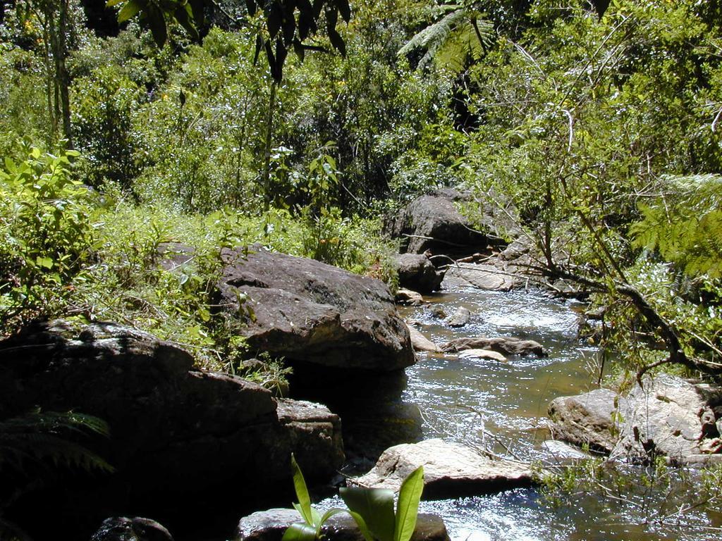 Apartamento Ferias Fazenda Usina 2 Bocaina de Minas Esterno foto
