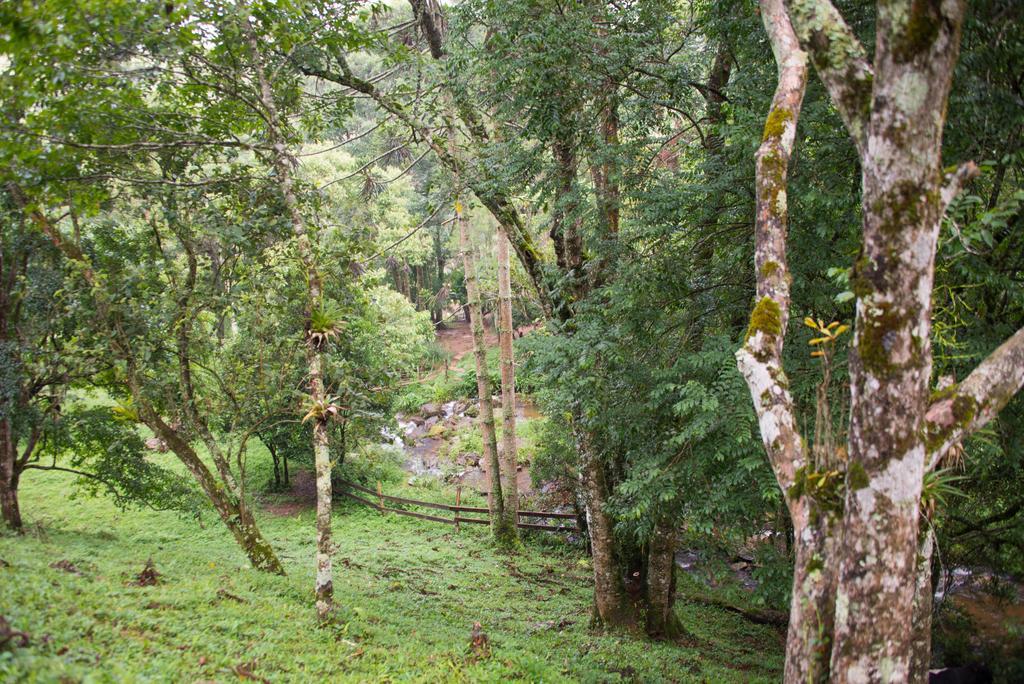 Apartamento Ferias Fazenda Usina 2 Bocaina de Minas Esterno foto