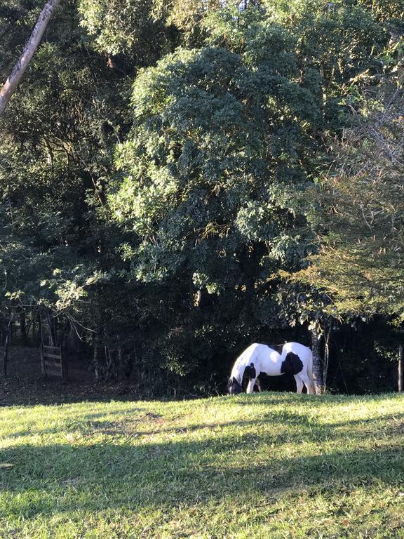 Apartamento Ferias Fazenda Usina 2 Bocaina de Minas Esterno foto
