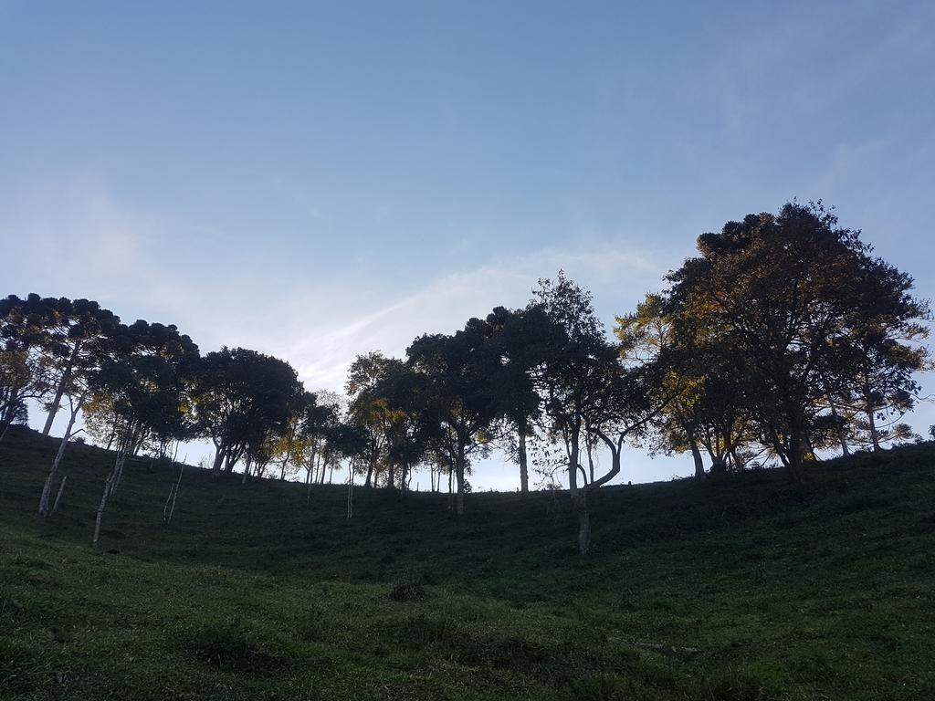 Apartamento Ferias Fazenda Usina 2 Bocaina de Minas Esterno foto